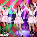 장규리 카카오 검색결과