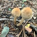 솔빛유치원 이미지