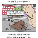 삐에로호프 | 250718~250731 너의 첫번째 생일을 축하해🎂❤️