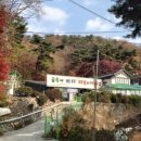 숲속에 바다 이미지