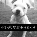 월 이미지