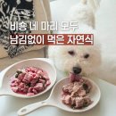 봄봄 자연식 비숑 다견가정 자연식체험팩 솔직후기