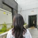 전주 미용실 어든헤어 전주효자점 펌맛집 전주여성펌