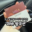 미바 | 돌고돌아 다시 정착, 미바왕쿠션 찐 후기