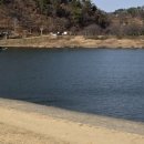 첨단방역