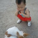 승혁 농장 이미지