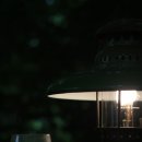 새벽숲