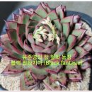 철화농장 이미지