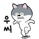 알파카정비 이미지