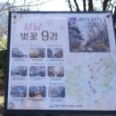 남한산성면행정복지센터 | 남한산성 벚꽃 실시간 - 등산코스&amp; 둘레길, 드라이브 &amp; 주차