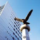 서울시립대학교 도시보건대학원 이미지