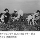 준 인터네셔널 이미지