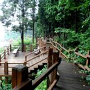 창원 목재문화체험장 이미지