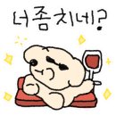 테마 애견 이미지