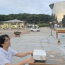 달달볼 네이버블로그