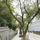 농부의딸 | 전주한옥마을 먹거리 ( 수제 초코파이 원조 PNB 풍년제과, 농부의 딸 ) ft.BTS 맛집 호남각 한정식 후기