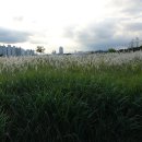 태화물산 이미지