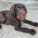 광산구-119 이미지