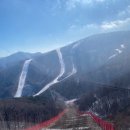 이용기농장 | 하이원 리조트 즐길거리(내돈내산 이용기)