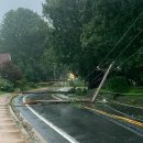 지노포트 이미지