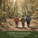 함안 영동리 회화나무 | 회화나무 놀이 유아숲수업에 딱! 여름에 피는 학자나무