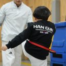 용인대 엘리트 태권도 이미지