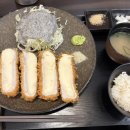엘리카츠 이미지