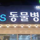 만년YES동물병원 네이버블로그