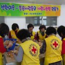 모시래 경로당 Daum카페