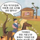 스토리텔링 한국사 이미지