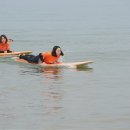 만리포니아 이미지