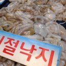 모이 이미지