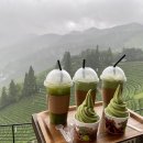 바다스토리리조트 이미지