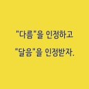 다름 과일 이미지