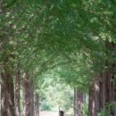 큰맘할매순대국 영월남면점 이미지