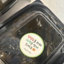 죽변맛집 이미지