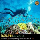 가야인력 이미지