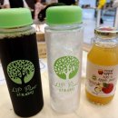 리프패럿 롯데마트 광복점 이미지