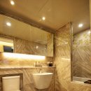 리젤펠리스 이미지