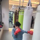 복싱 그 자체 이미지