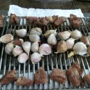 또와양꼬치 이미지