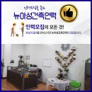 뉴현대인력