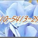 돌우물길 이미지