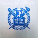 24시 유앤미동물병원 이미지