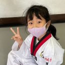 경희대청도태권도장 이미지