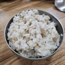촌돼지와보리밥 | 깔끔함과 맛 모두 만족! 촌돼지와보리밥 점심 후기 보리밥 맛집 인정 [내돈내산]
