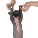 이스턴24시동물병원 이미지