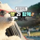 (주)투어 티티엘 이미지
