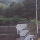 아름다운 농원 Daum카페