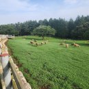 남해목장 이미지